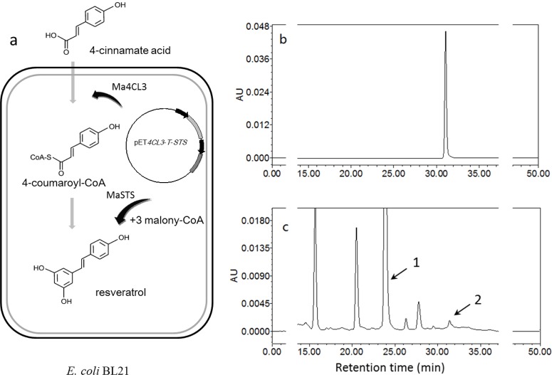 Fig 11