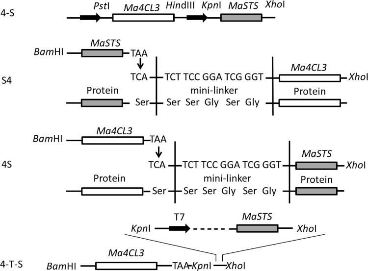 Fig 2