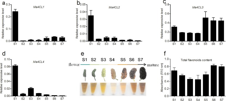 Fig 7