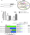 FIG 2