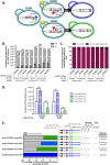 FIG 1