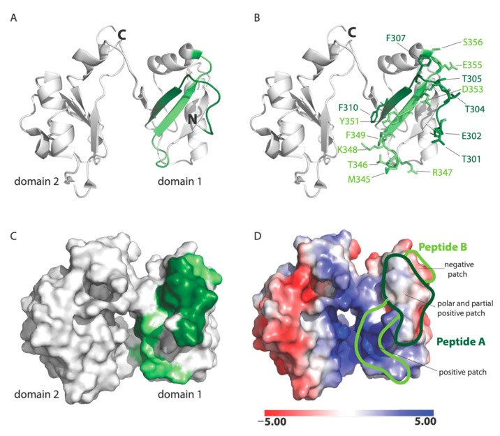 Figure 7