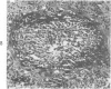 80