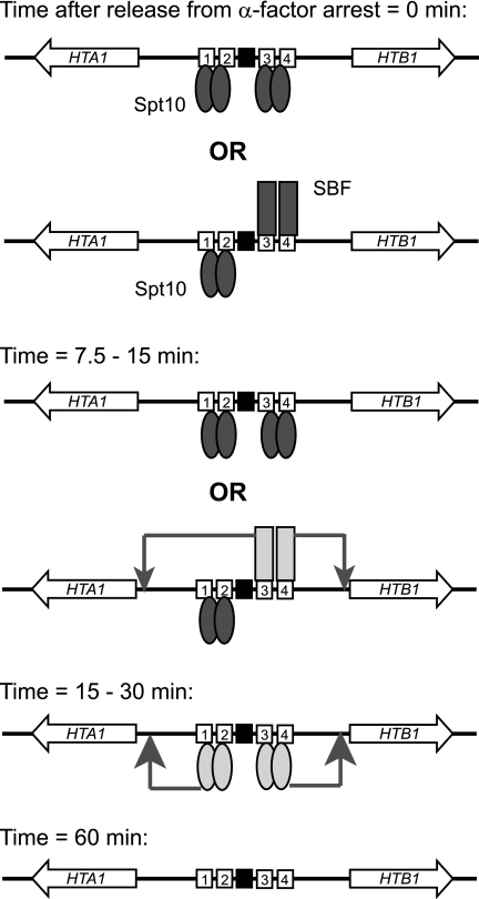 FIG. 8.