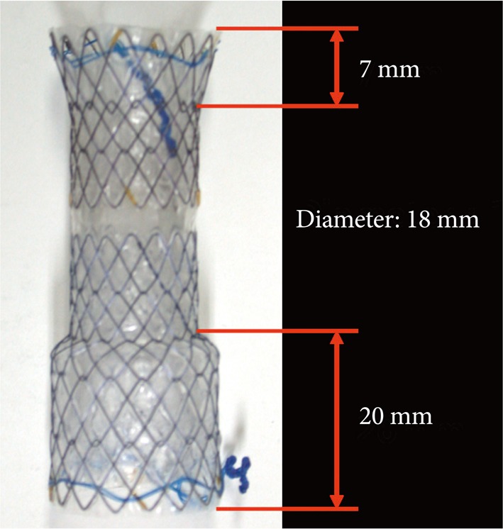 Fig. 1