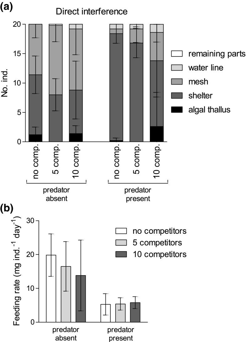 Fig. 3