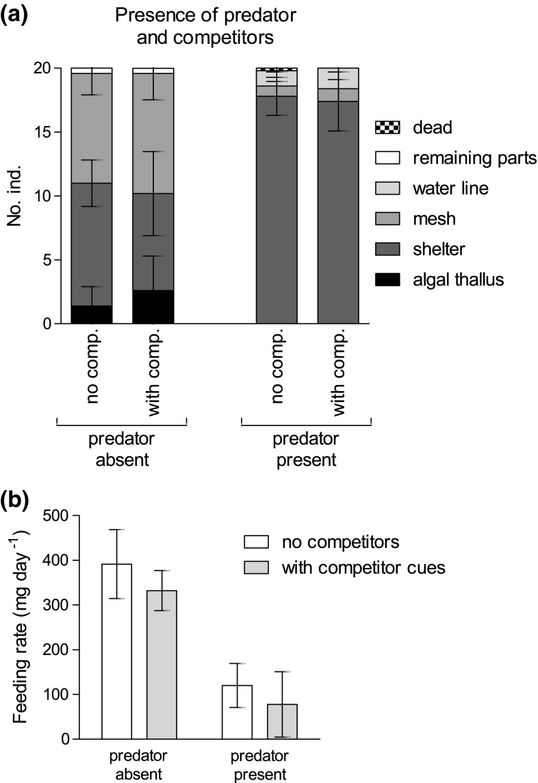 Fig. 2