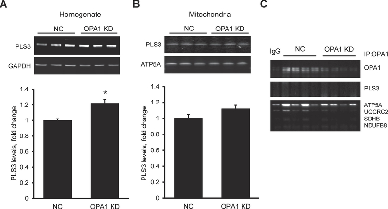 Fig. 6.