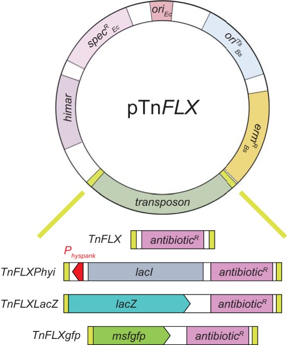 FIG 2