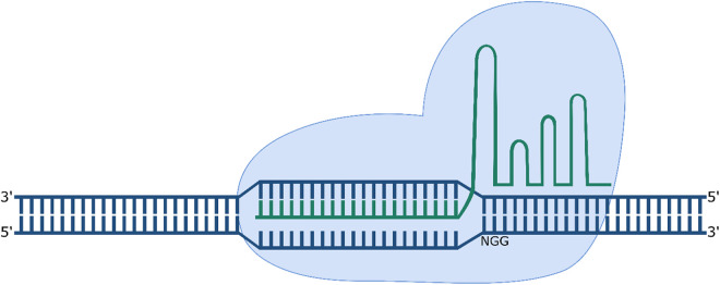 Figure 3.