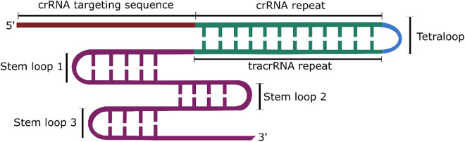 Figure 2.