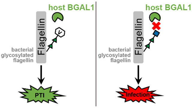 graphic file with name nihms-1591684-f0003.jpg