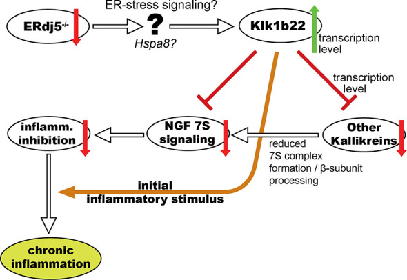 Figure 6