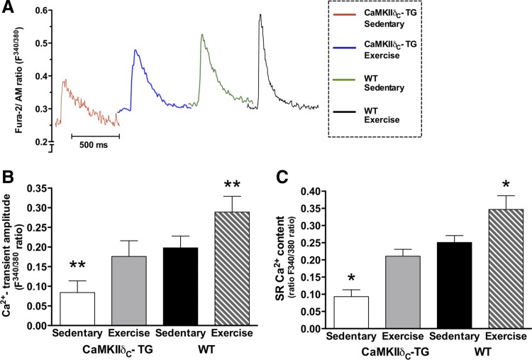 Fig. 4.