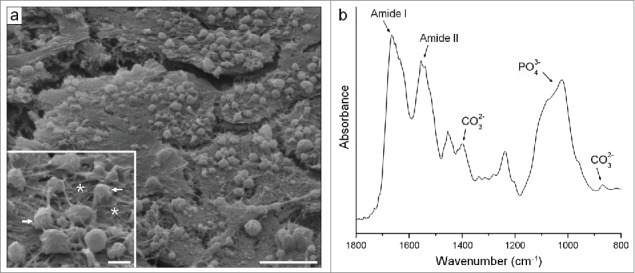 Figure 10.