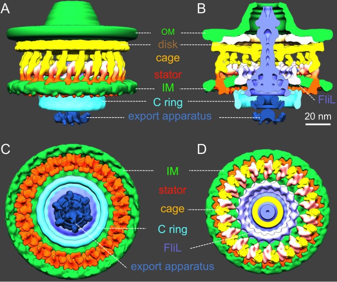 FIG 4