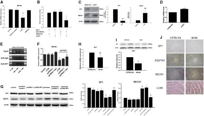 Figure 6