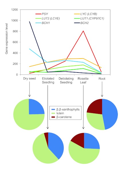 Figure 5.