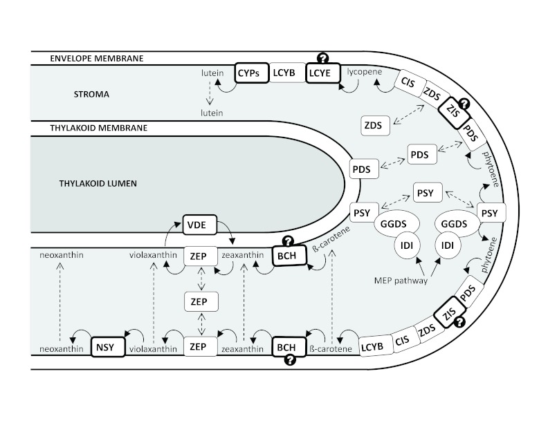 Figure 6.