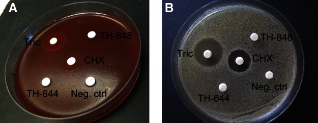 Figure 5.