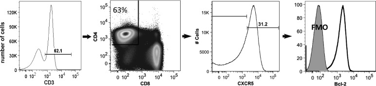 FIG. 1.