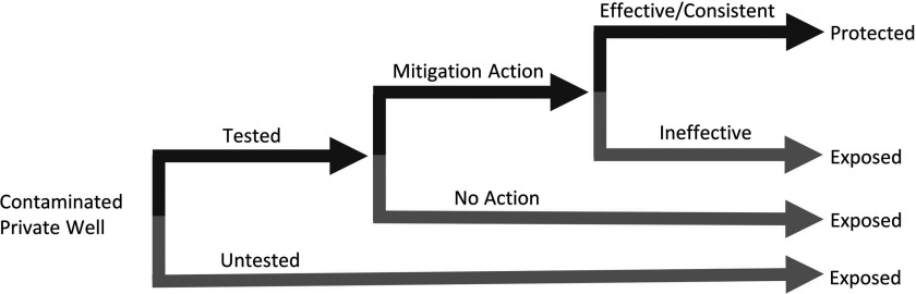 Flow diagram.