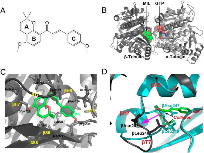 Figure 5.