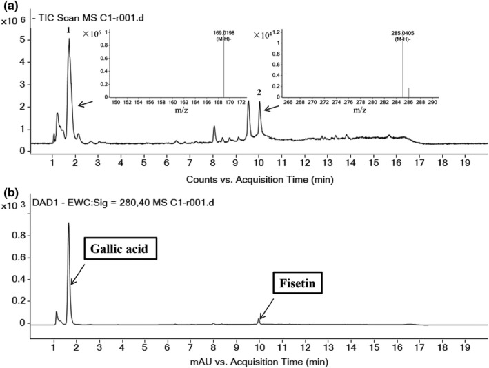 FIGURE 3