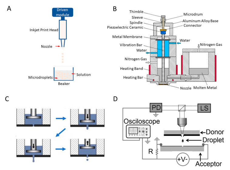 Figure 11