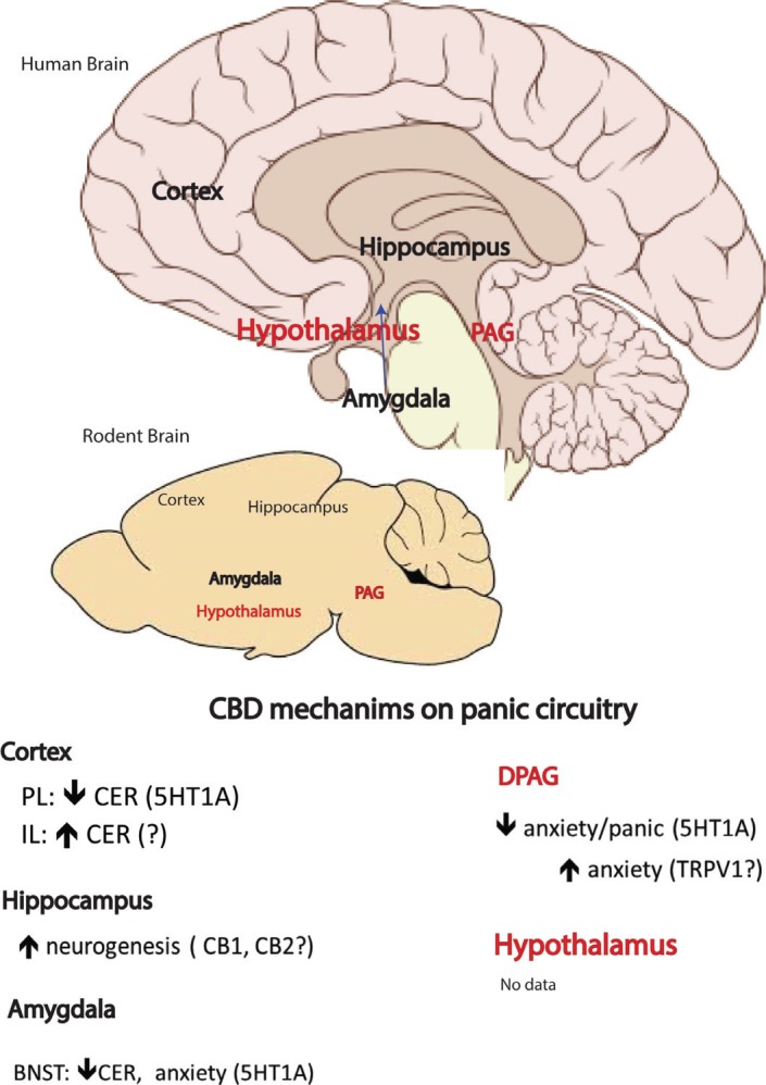 Fig. (1)