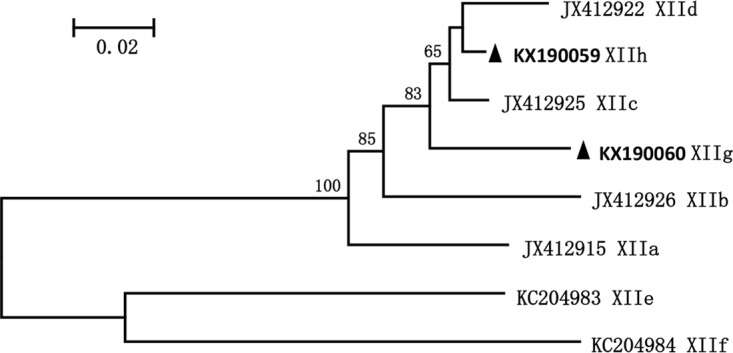 FIG 1