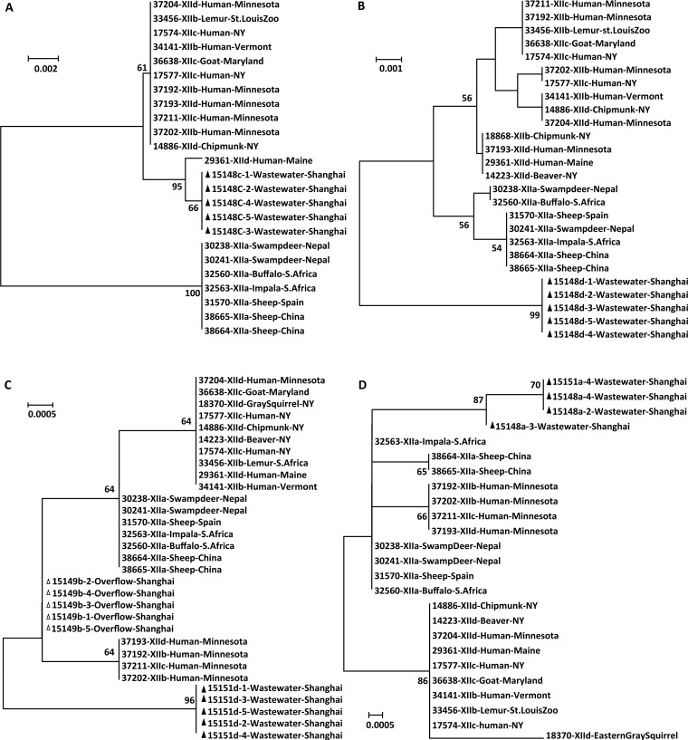 FIG 2