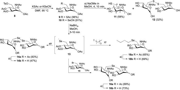 Scheme 2