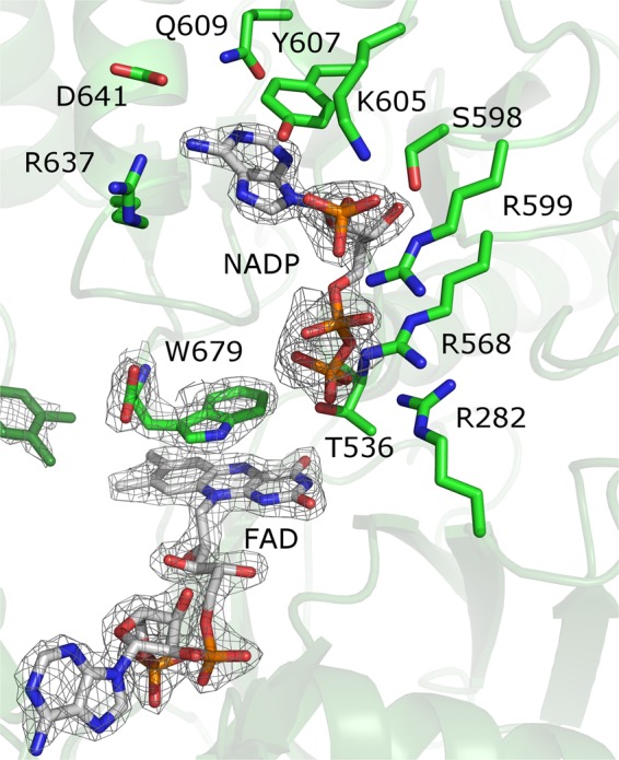 Figure 4