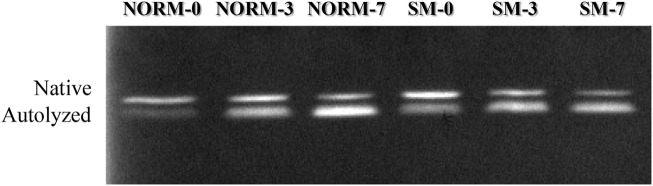 FIGURE 3