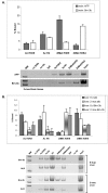 FIG. 3.