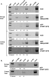 FIG. 4.