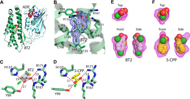 FIGURE 2.