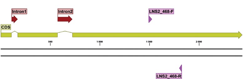 Fig. 10