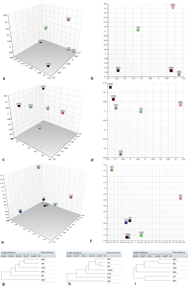 Fig. 13