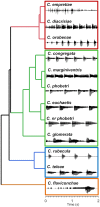 Fig 6