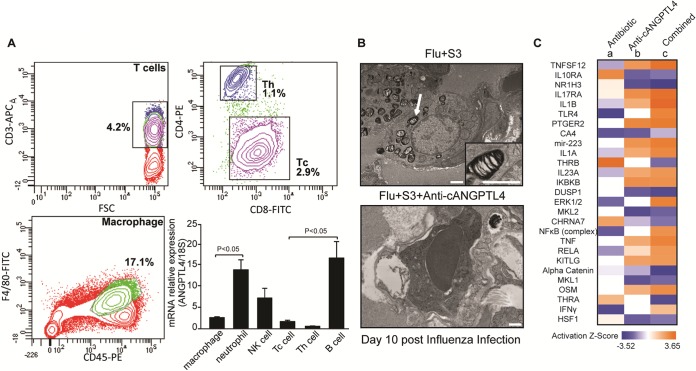 FIG 5