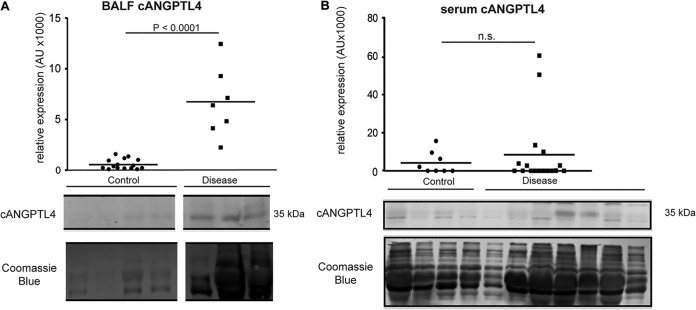 FIG 6