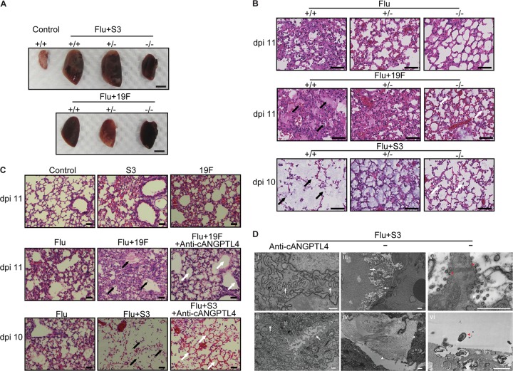 FIG 3