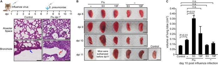 FIG 1