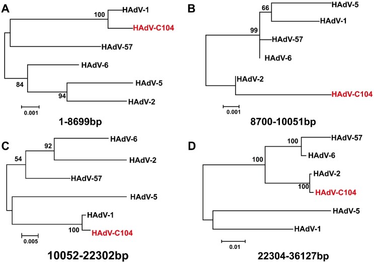 Figure 6.