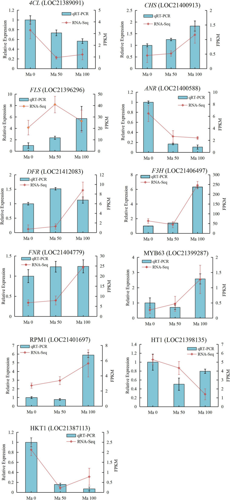 Fig. 13