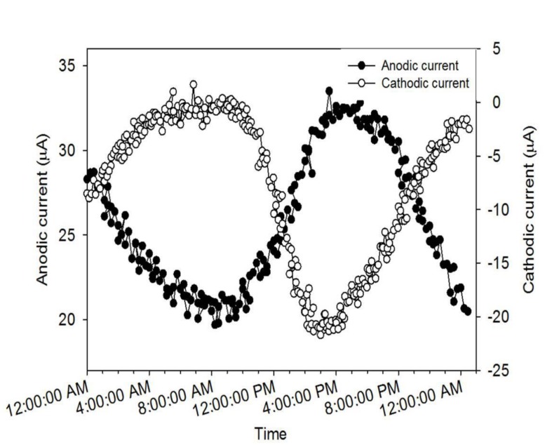 FIGURE 3