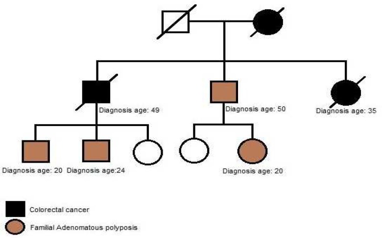 Fig. 8