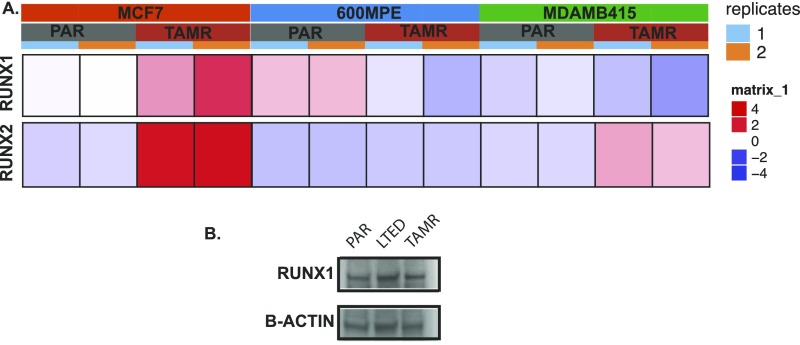 Fig. S3.